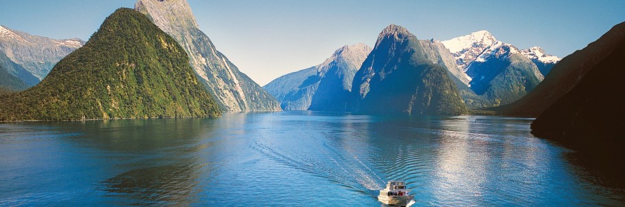New Zealand Icons